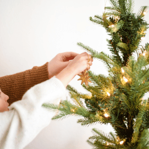 Image of a child and adult placing a star on christmas tree. 